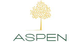 Aspen Analytics