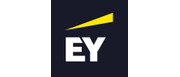 EY Americas Strategy and Transactions