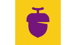 Purple Acorn
